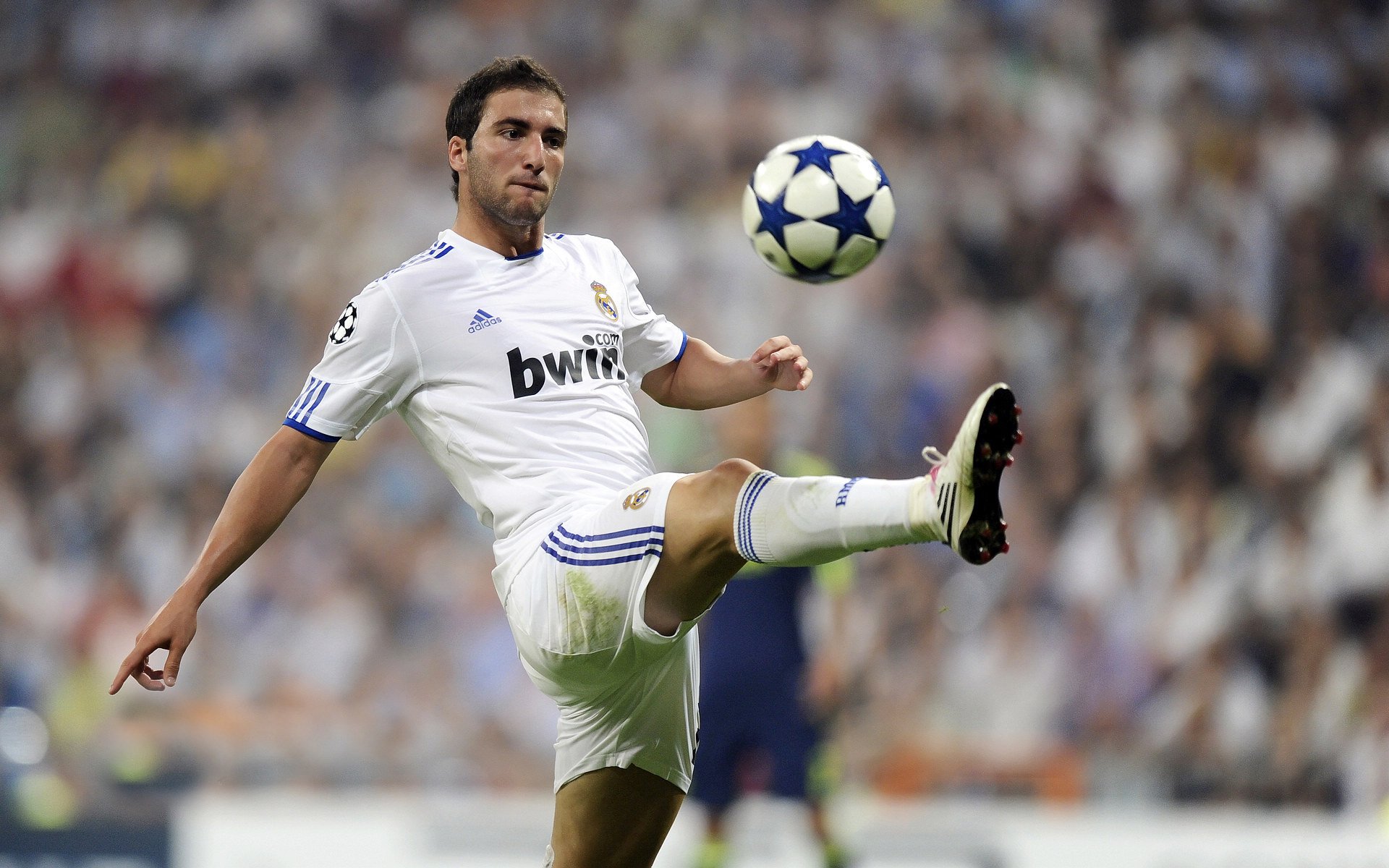 美因茨球队在场上展现出稳定发挥,取得胜利,美因茨现主帅是谁