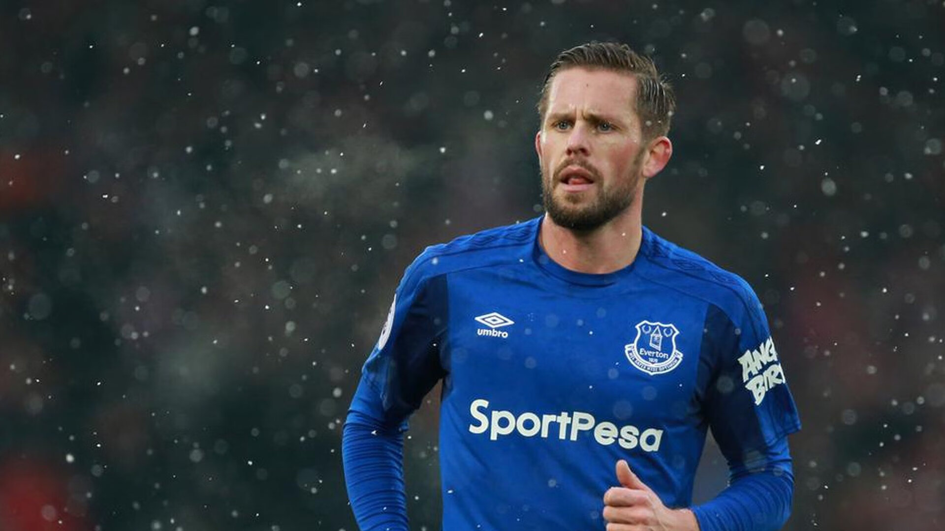 沃尔夫斯堡坐镇主场，力争击败斯图加特，沃尔夫斯堡最新阵容